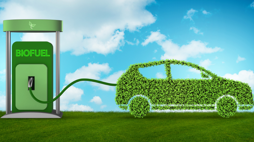 Fernando Trabach Filho analisa o papel dos biocombustíveis no Brasil como chave para uma matriz energética mais limpa e estratégica.