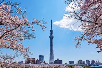 Entenda como o Shinkansen no Japão se tornou um símbolo de eficiência e inovação, em uma análise especial de Alberto Toshio Murakami.