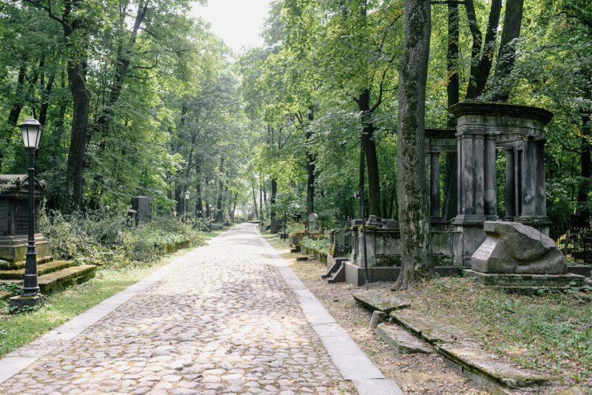 Caminho de pedras entre árvores e túmulos em um cemitério ao ar livre