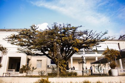 Fachada do Palácio do Governo da Paraíba, com árvores e céu ao fundo.
