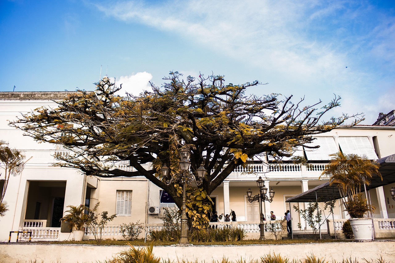 Fachada do Palácio do Governo da Paraíba, com árvores e céu ao fundo.